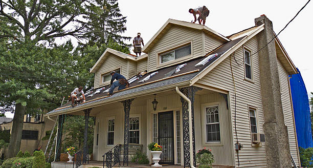 Best Roof Replacement Cost  in Louisa, VA